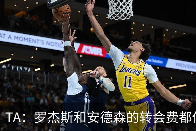 TA：罗杰斯和安德森的转会费都偏高，相比之下后者更划算一些